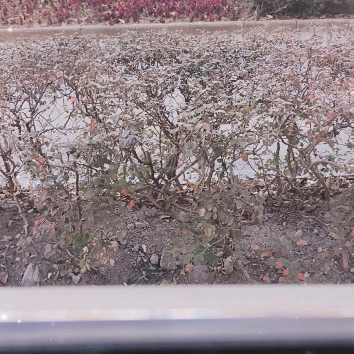 理想