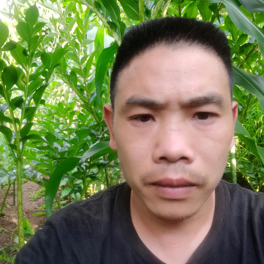 单亲文哥