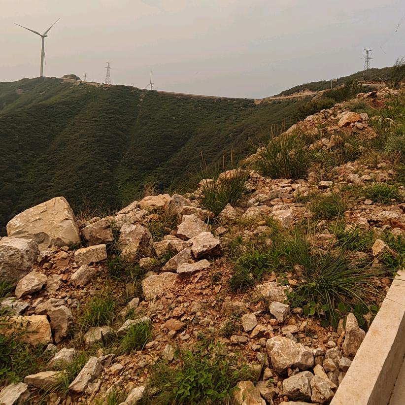 抖音看多会变傻