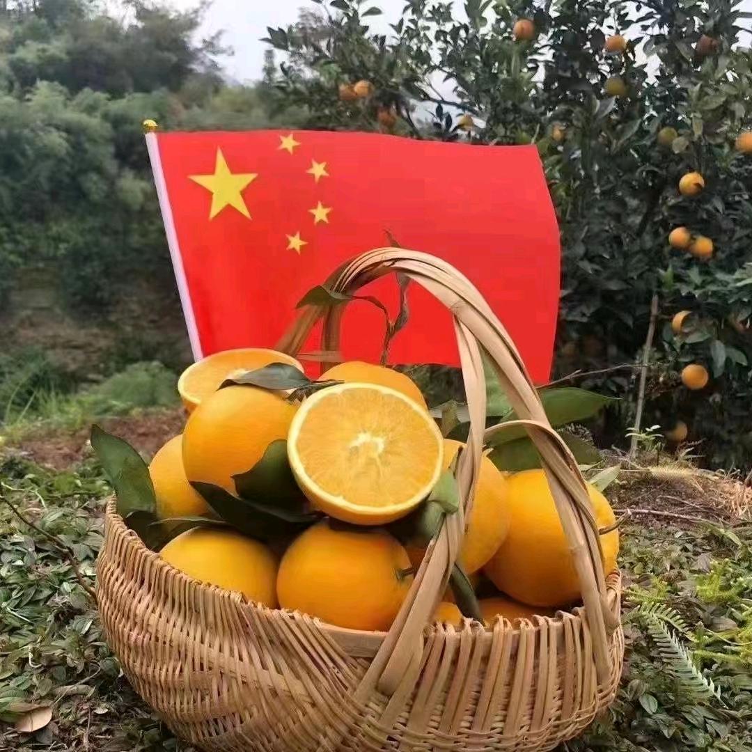 乡村晓陈