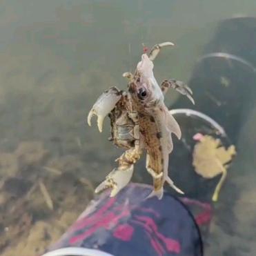 张同学的渔具店