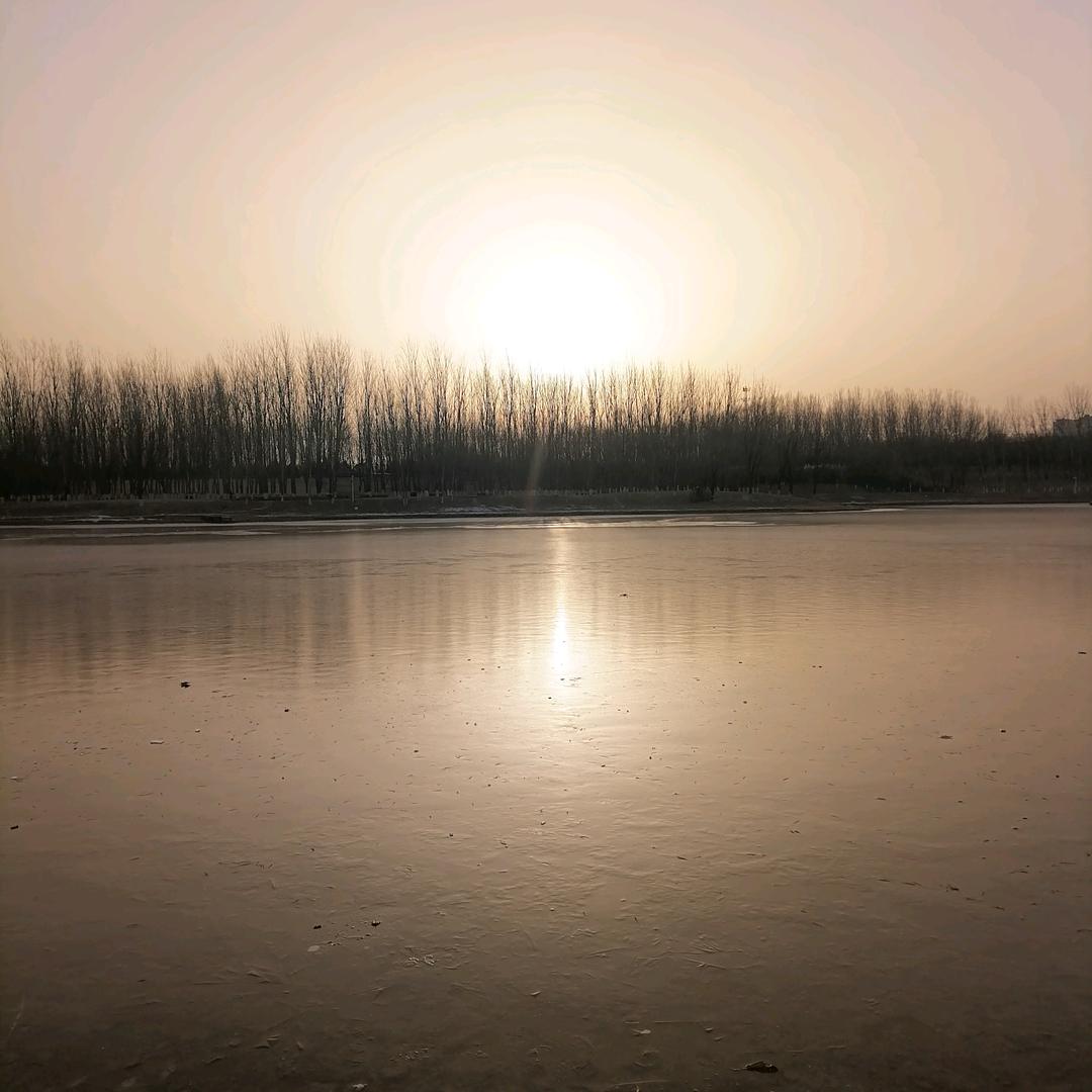 一念静心