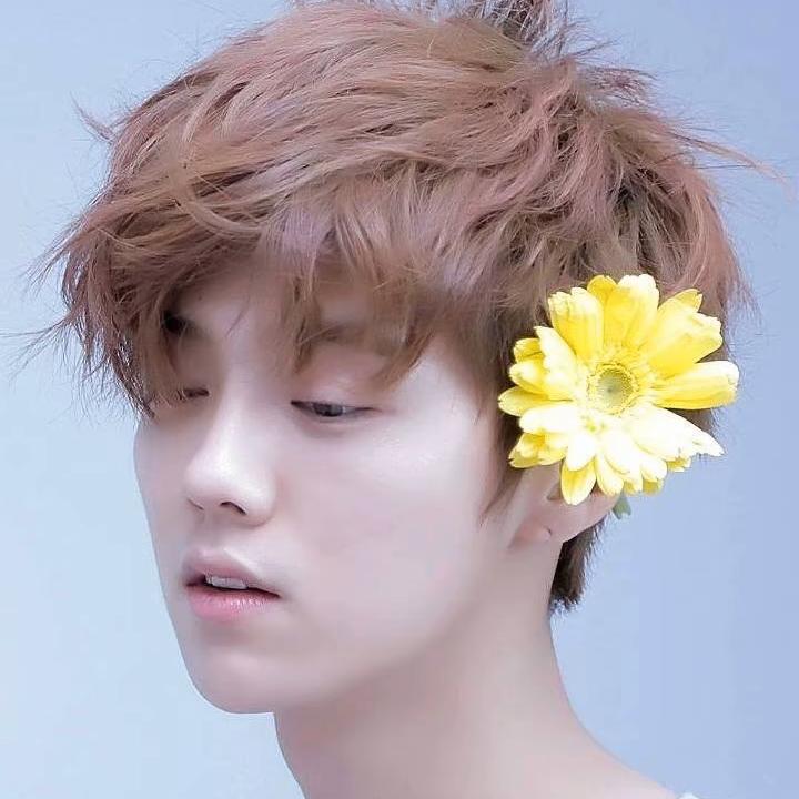 敖不了了头像