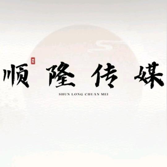 顺隆老聪(全域电商)