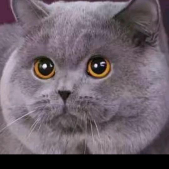 萝卜🌵青菜²⁷³🥬