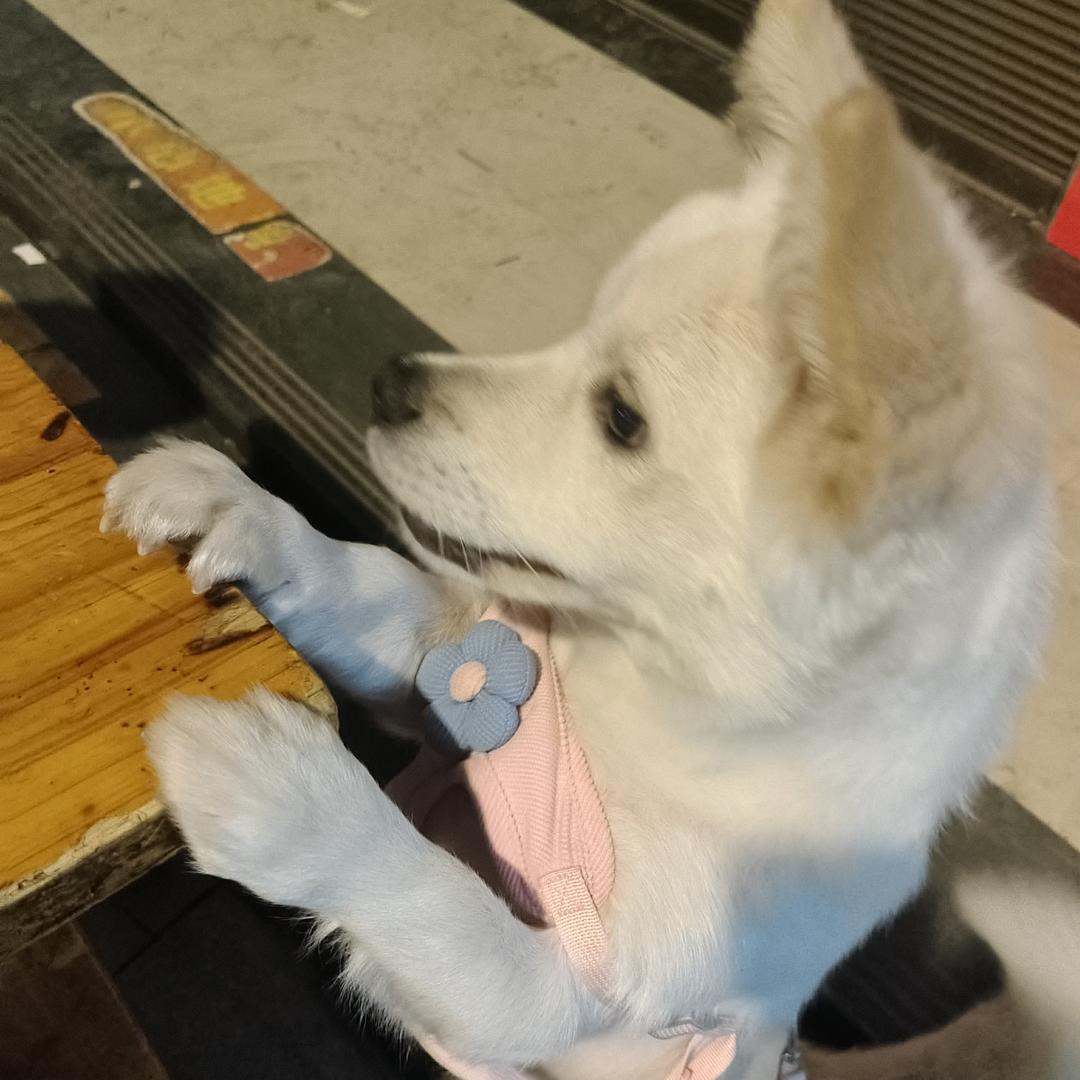 为居居流下居泪