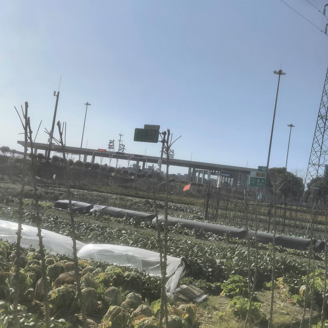 餐桌上的乐园