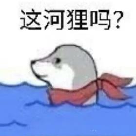 狸大大