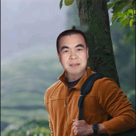 慕色年华