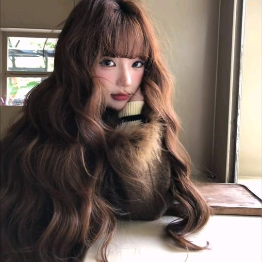 玫瑰