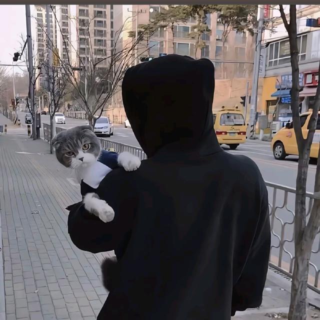 达达尼昂