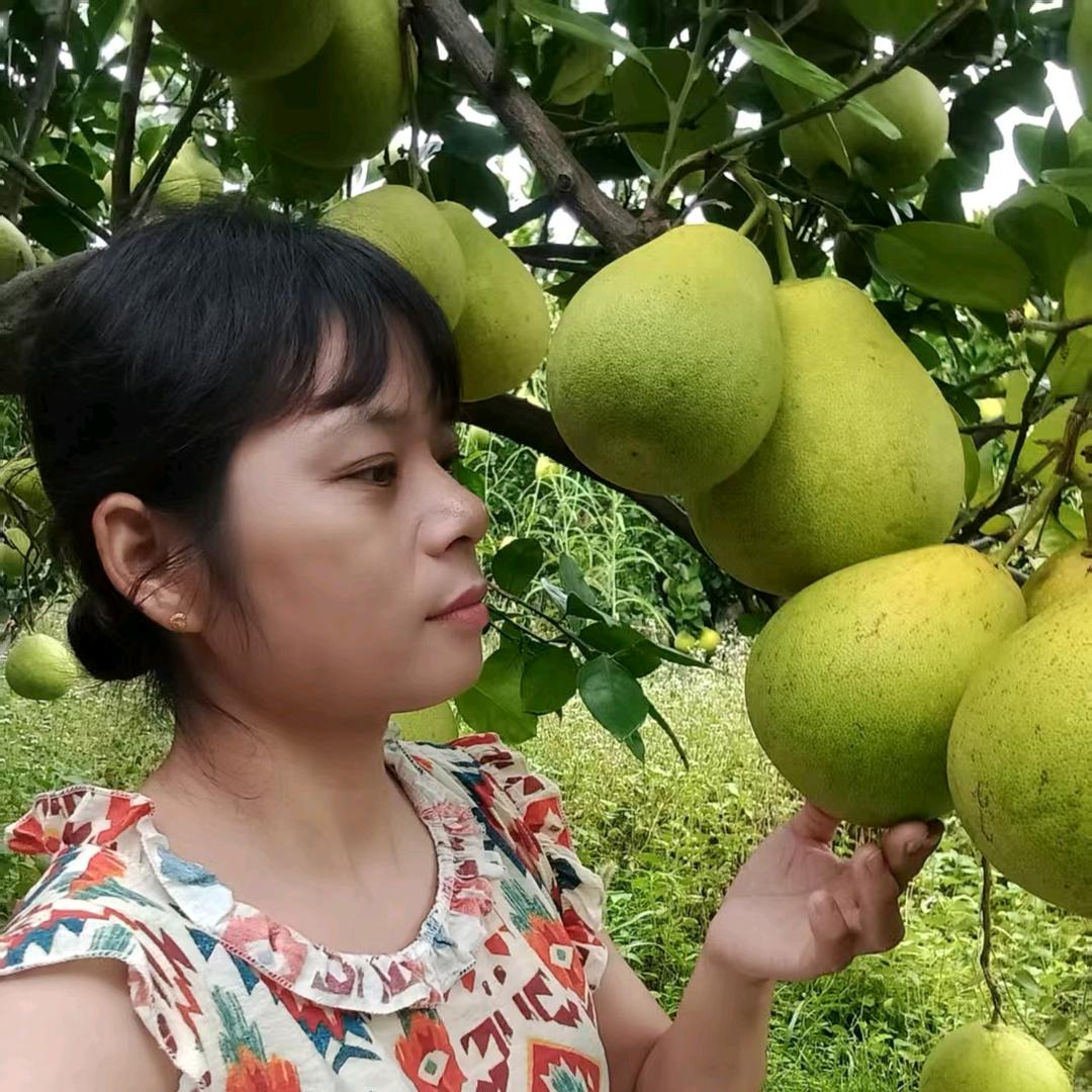 三艳去逢圩【土黄牛肉可顺丰】Ksy