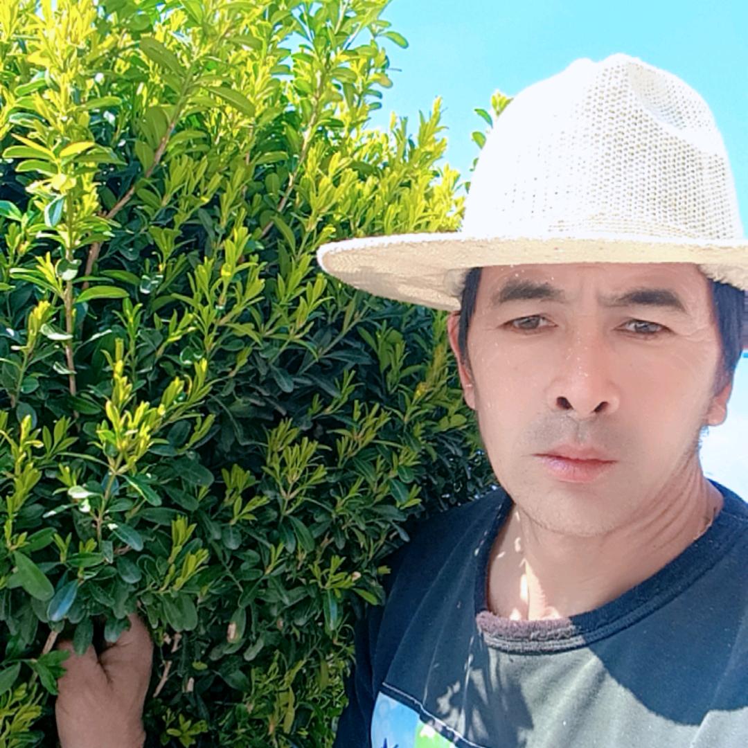 我在等你十字路口