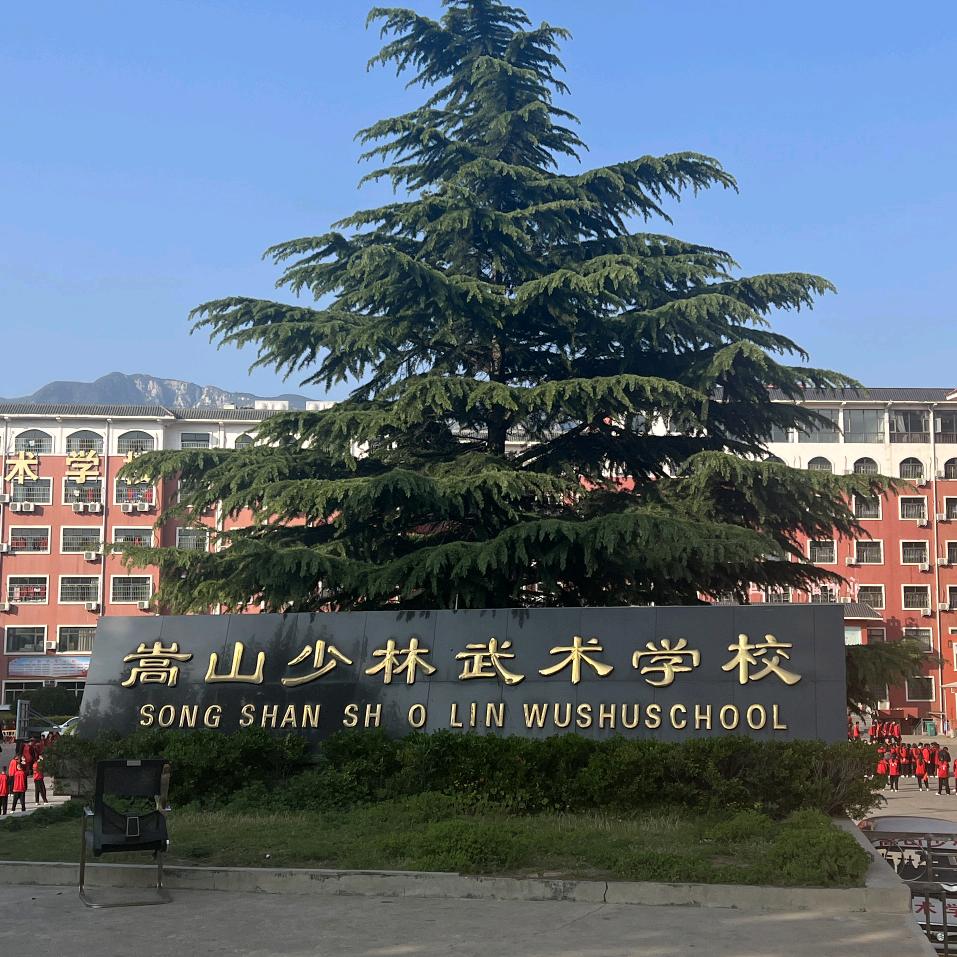 嵩山少林武术学校招生咨询处