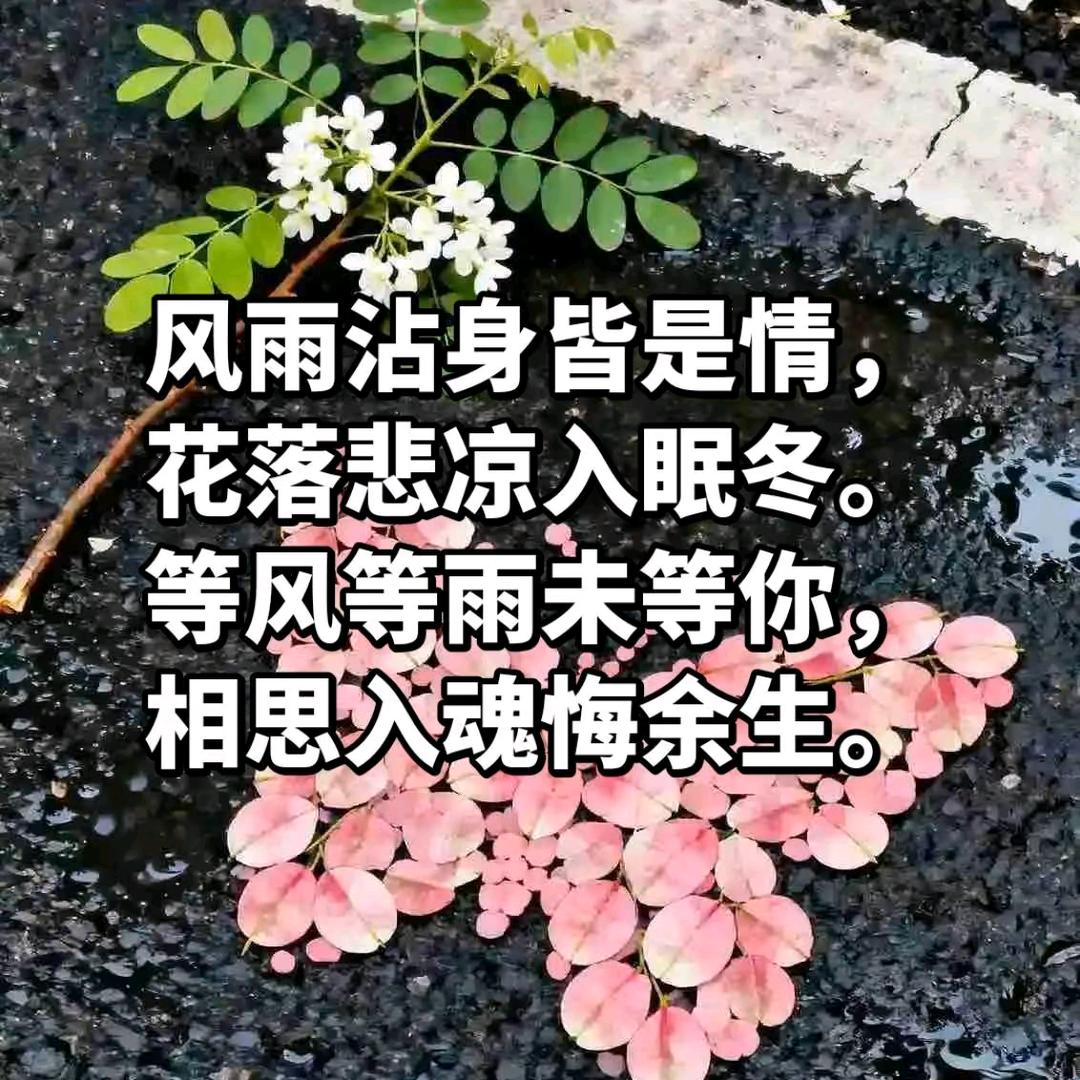 小嘬
