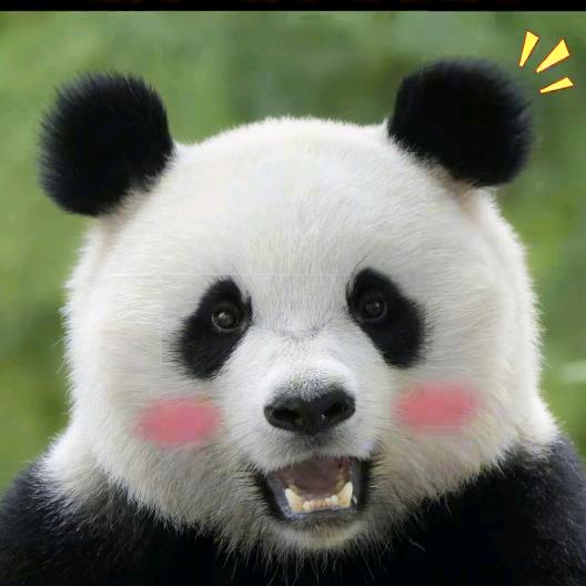 成哥哥