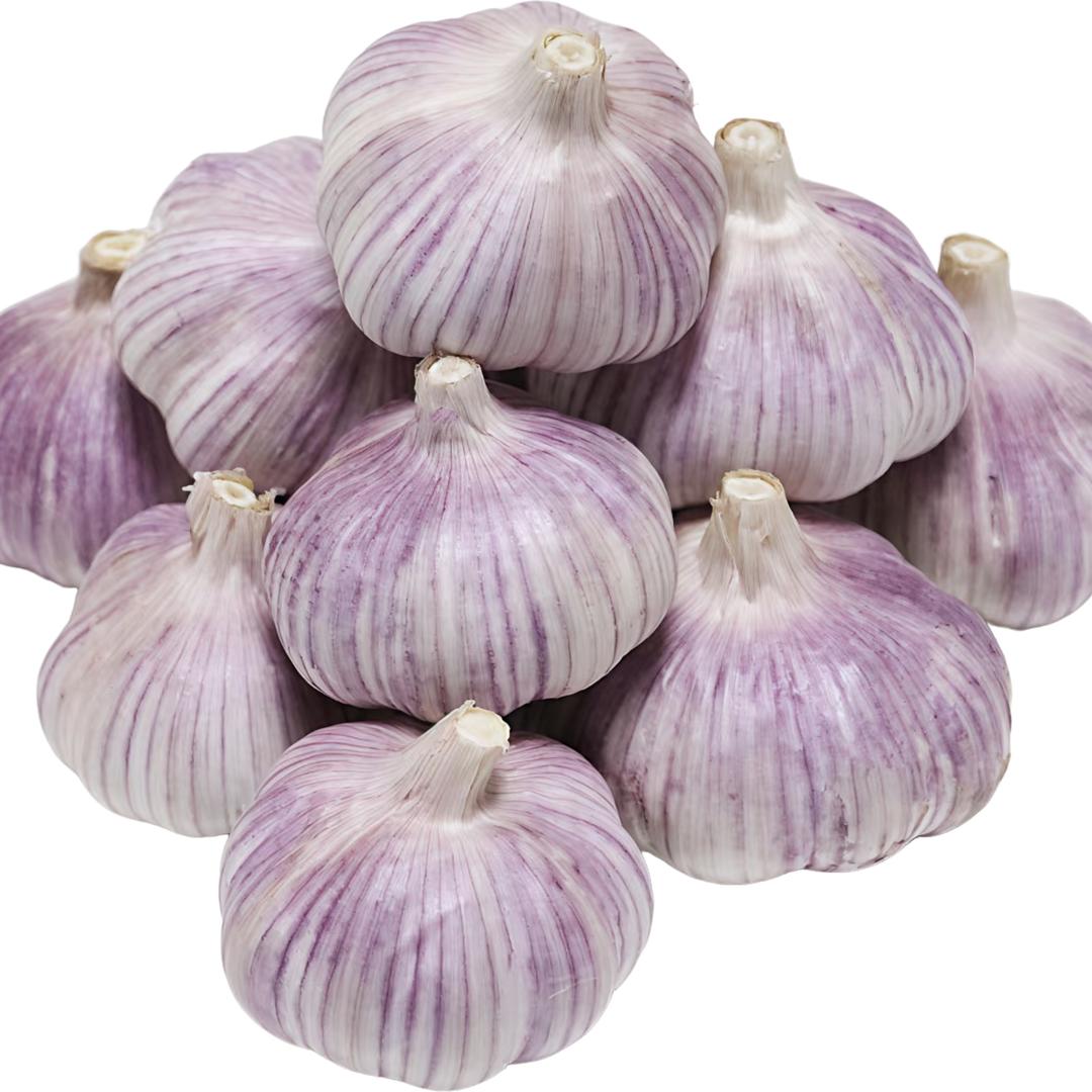 初一妈妈的真心推荐