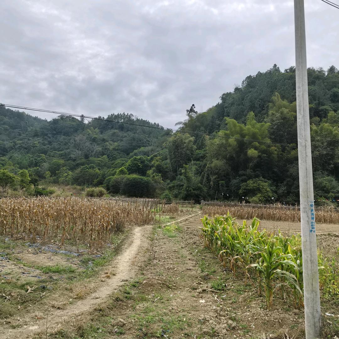 引领新潮