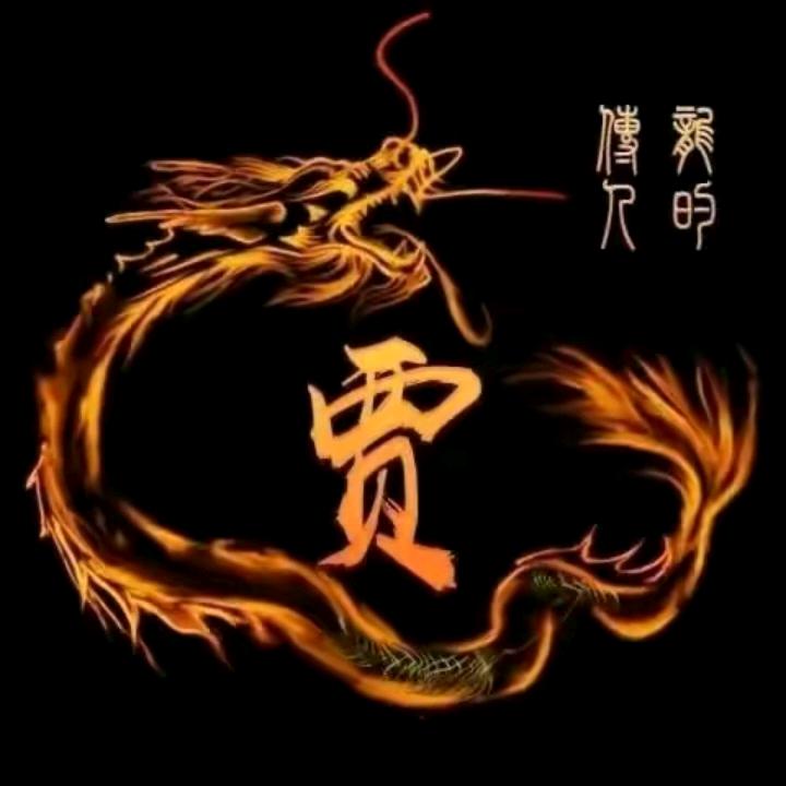 贾氏家族巜贾哥》