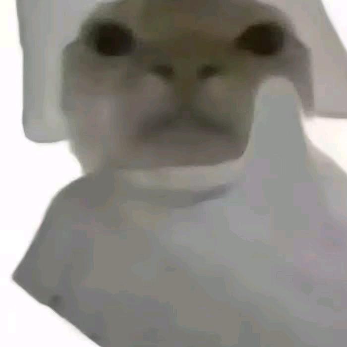 哈基涛