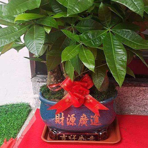 {认真做事，诚信做人}