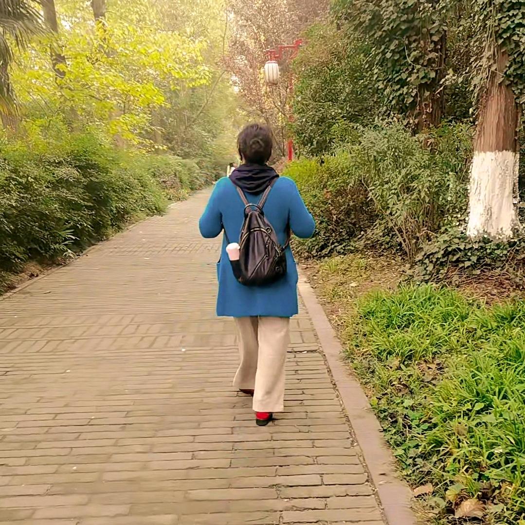 y杨子