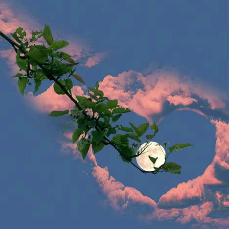 ੯‧̀͡₎᭄ྀི忕佪💕