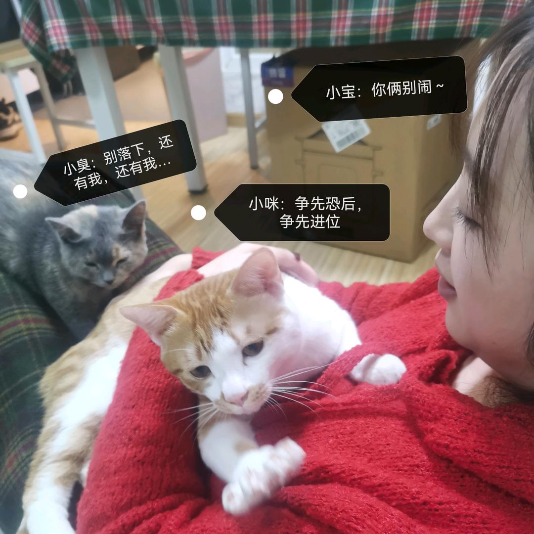 臭臭和小咪