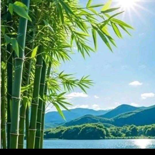 ❤做好❤自己❤