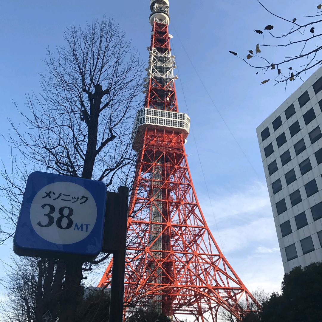 蛋壳