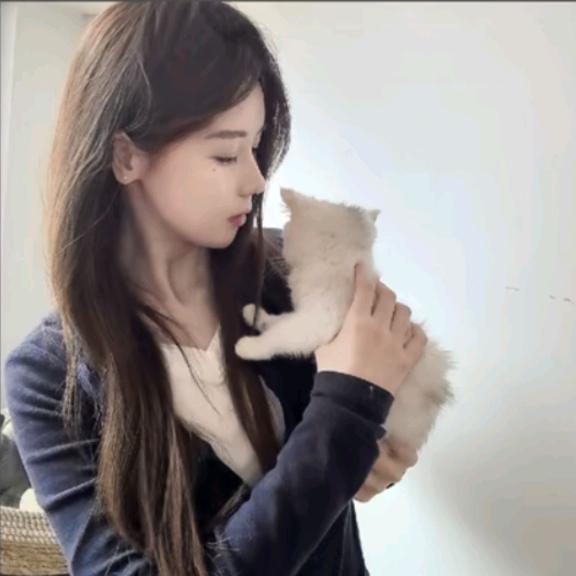 无敌菠萝