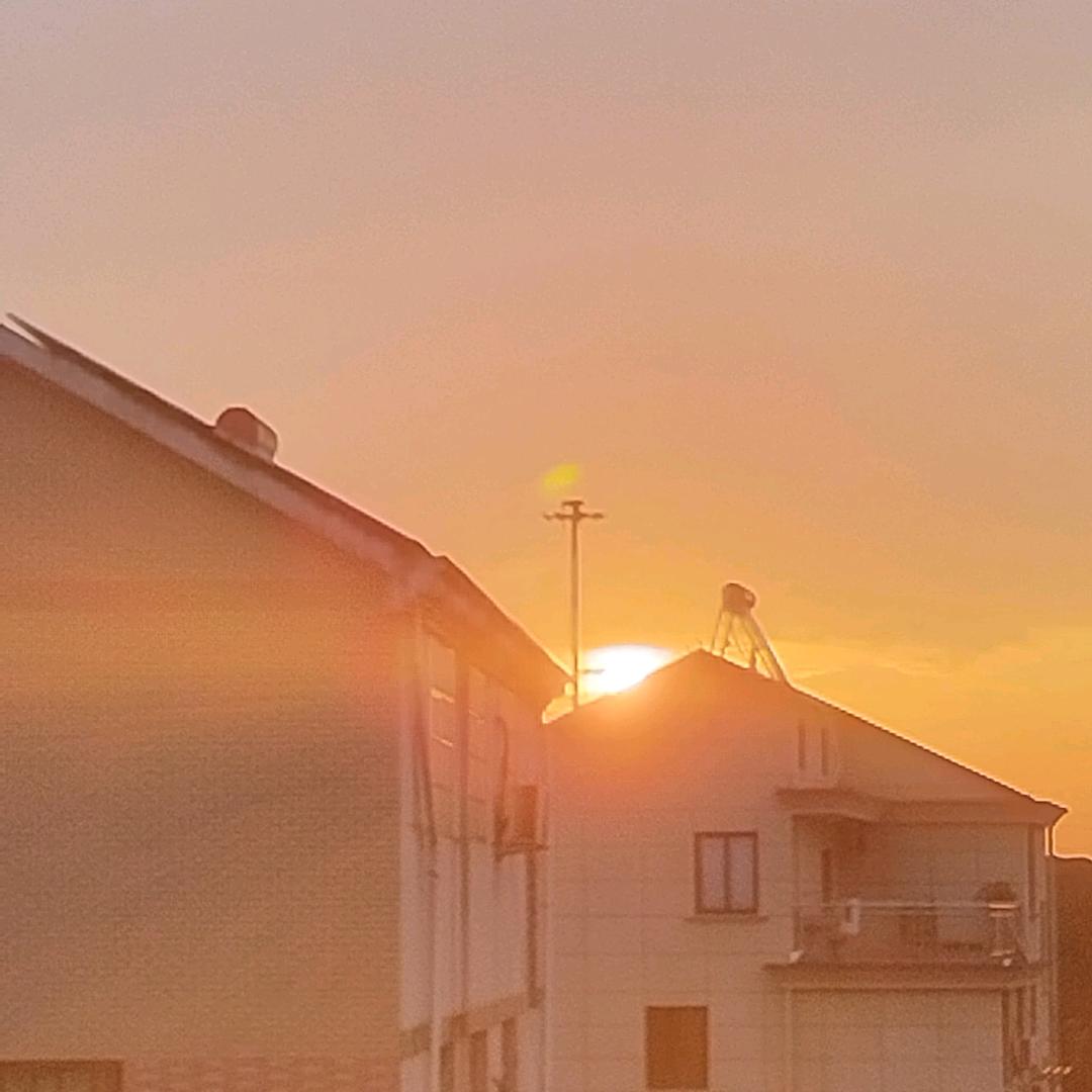 膜拜膜拜蛐蛐大王