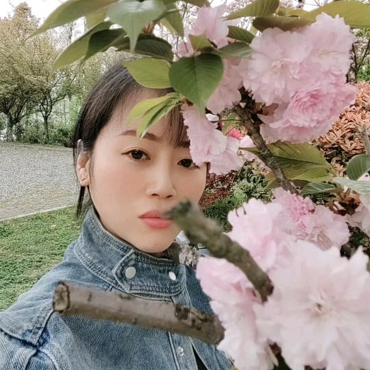 燕子姐