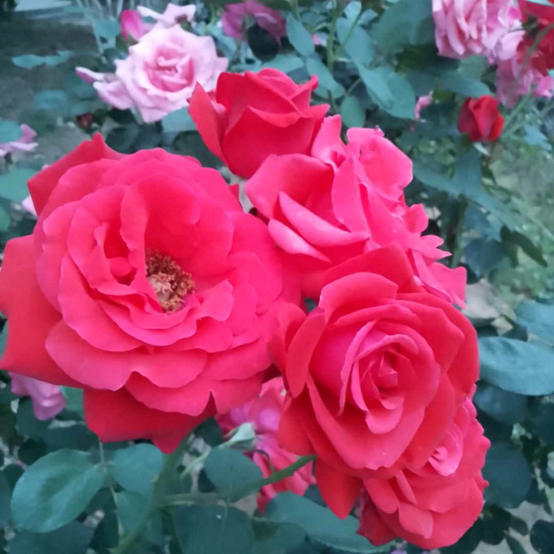 珍惜缘分