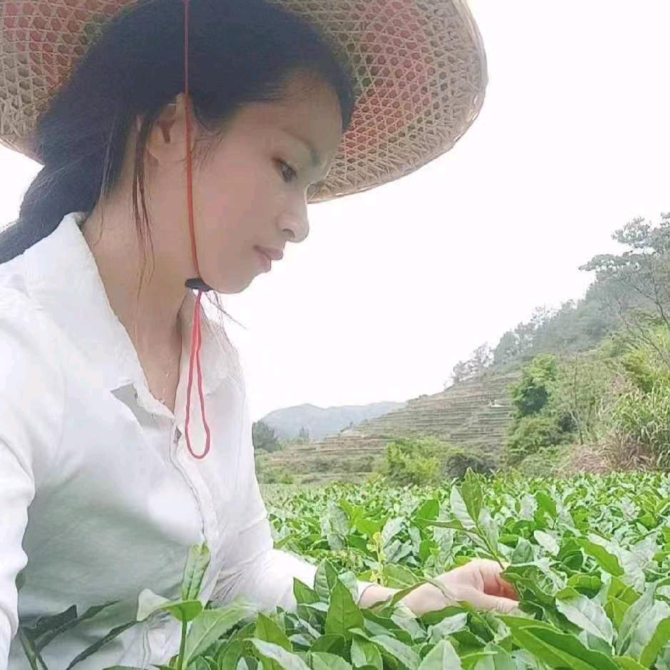 云梦