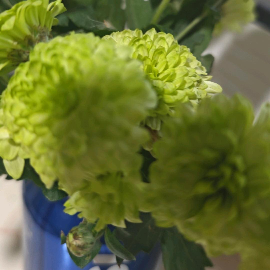 @豪哥（焦家麻辣烫）