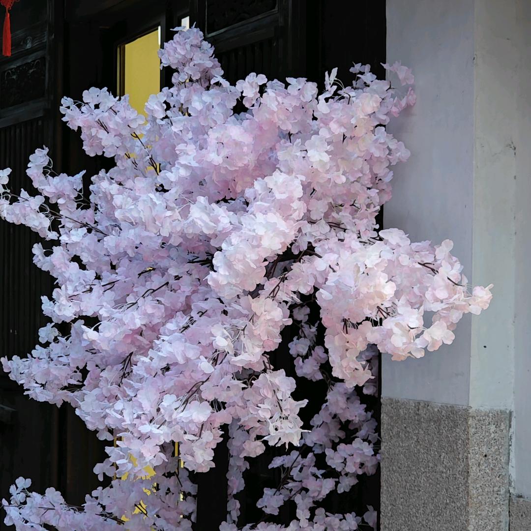衣锦还乡