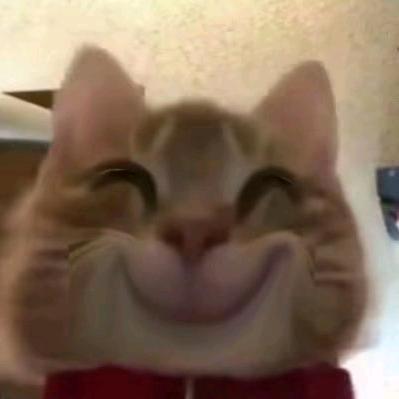 爱吃😝香菜