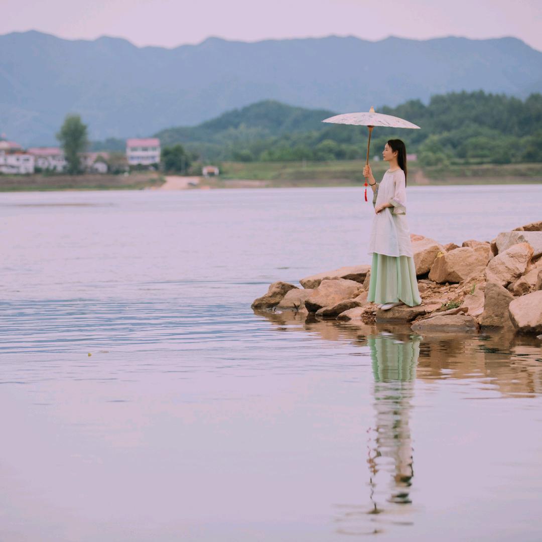 雁南飞