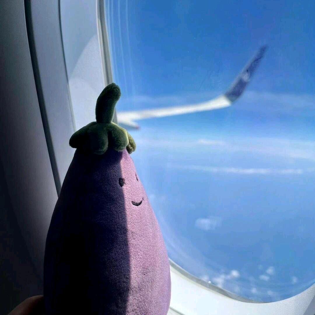 哈哈哈哈你笑什么