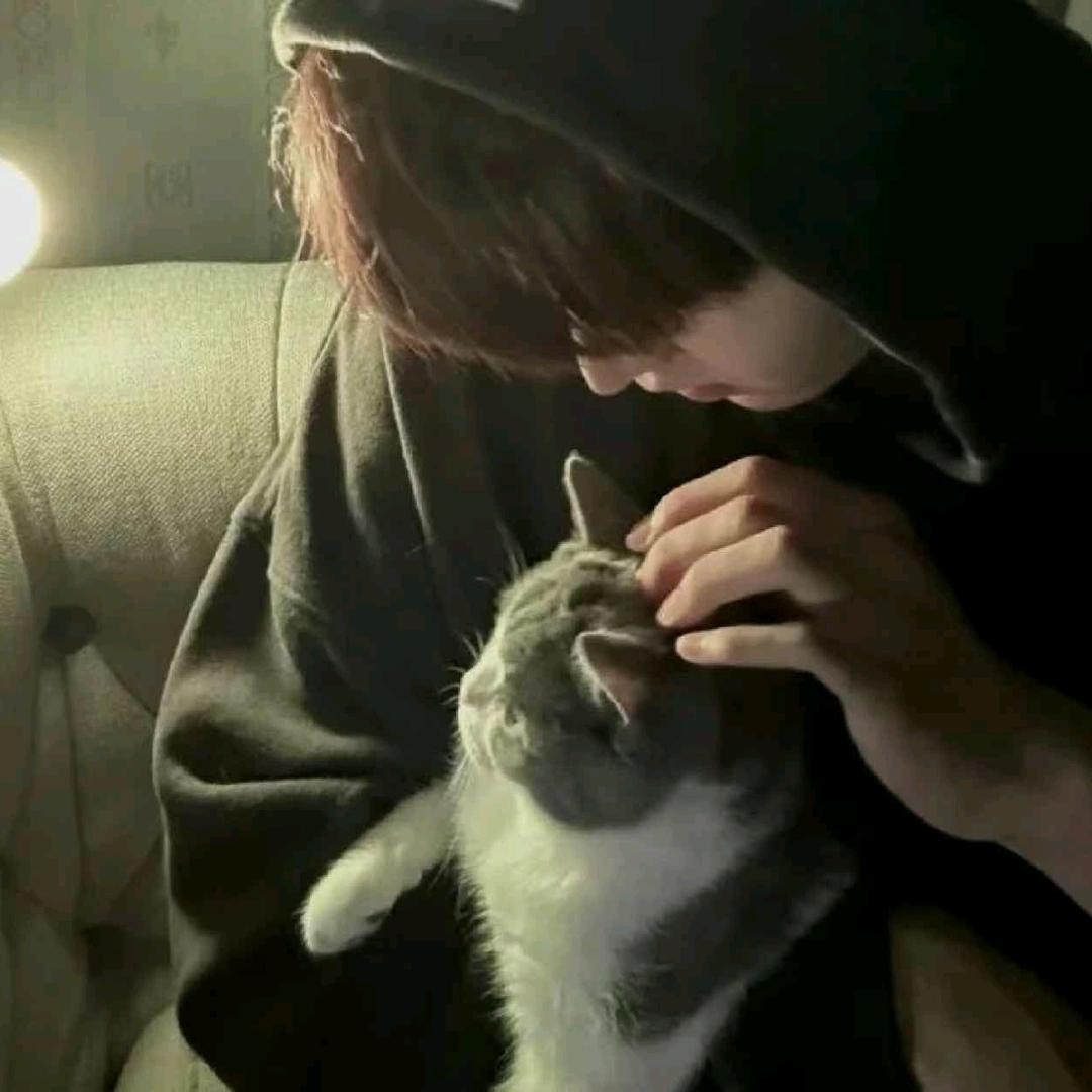 小安（点🥚看主页）