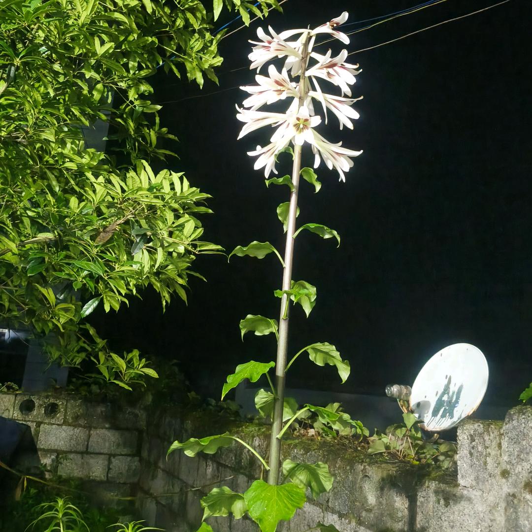 别烦我？？？？