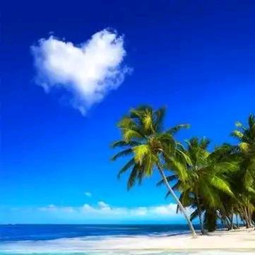 不求大富大贵-只求一生无悔