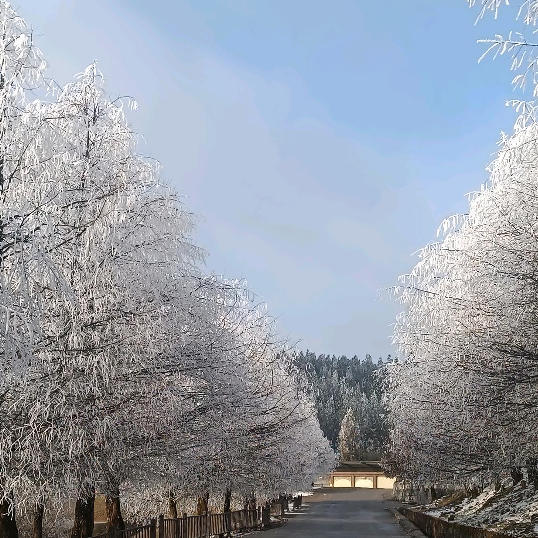 ╭(╯往事清零╰)╮