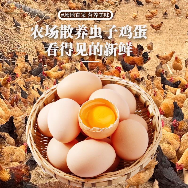 蛋享未来