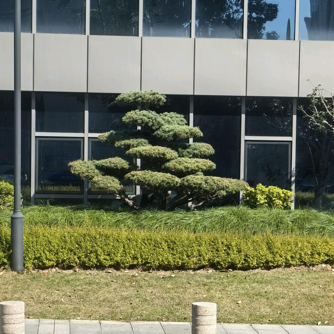 新新