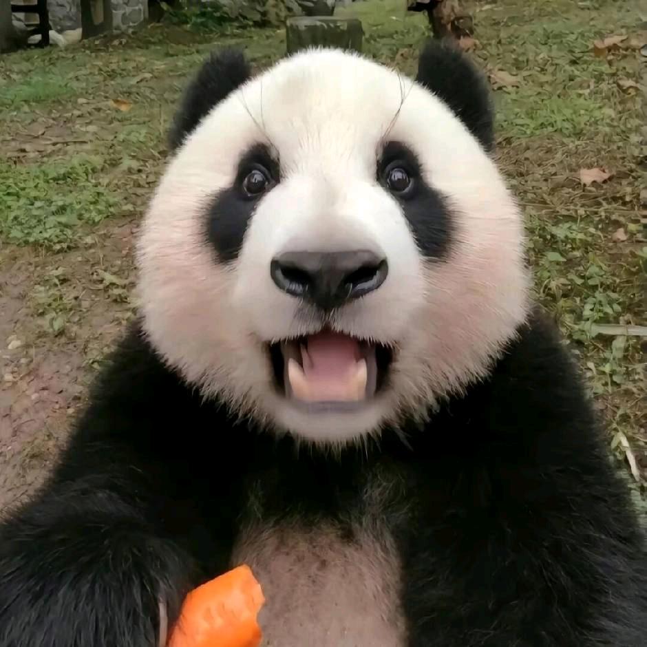 本龙金工-王本龙