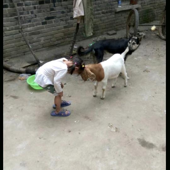我心随缘