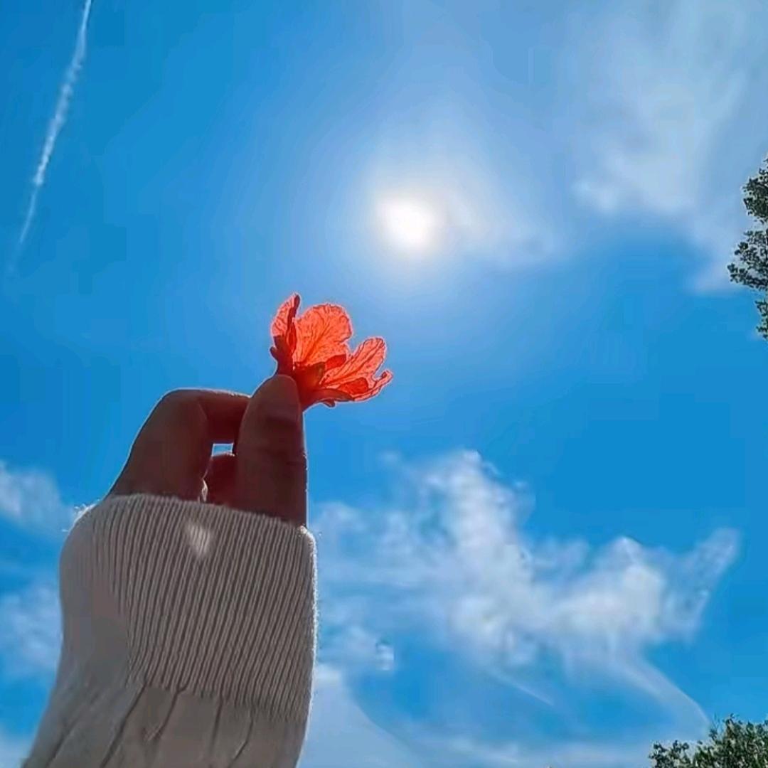 Ꭽℯ⃝傻💞丫头࿐