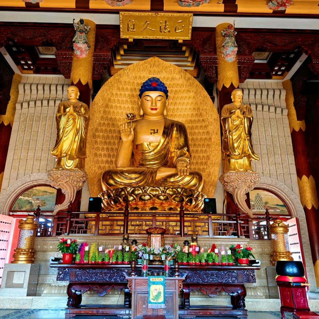 天天
